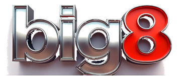 big8 logo